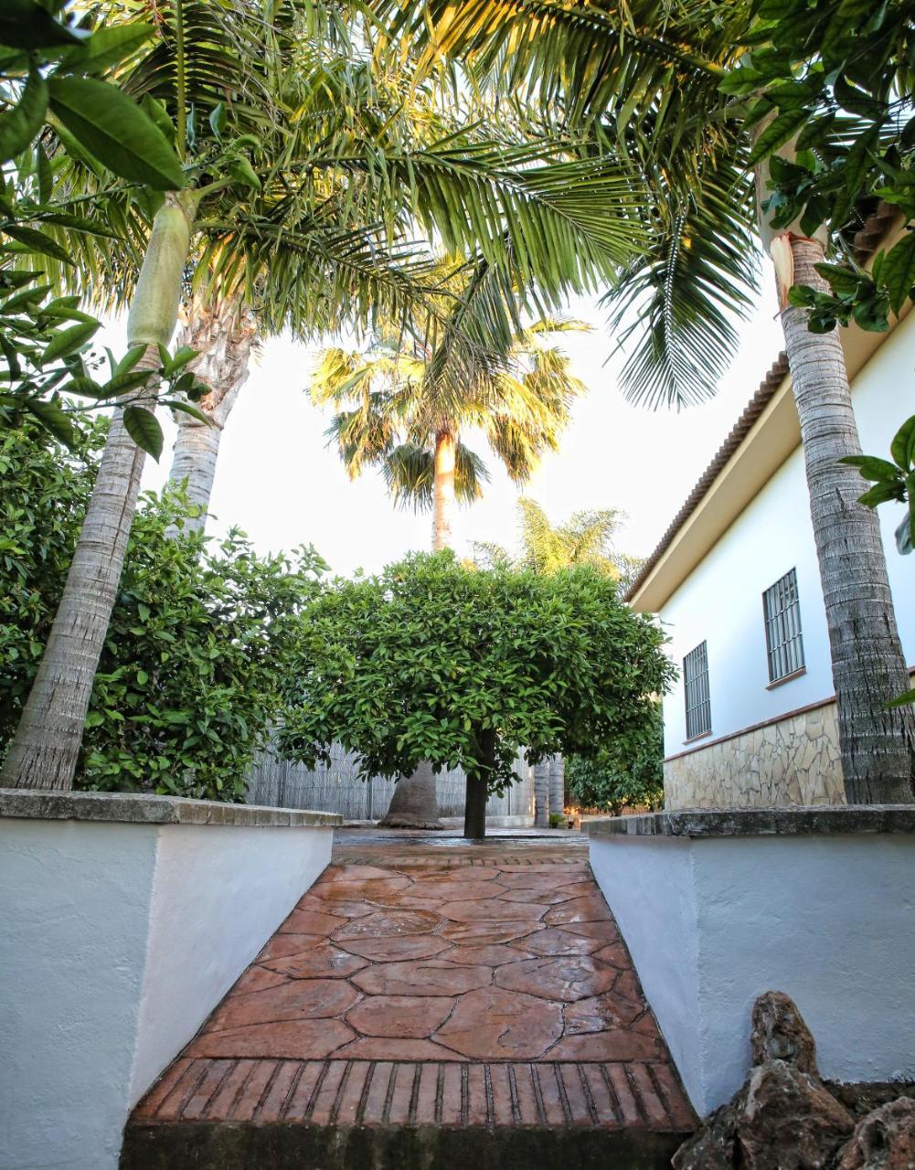 Casa Rural Tipica Andaluza, Wifi,Piscina, Barbacoa, Aire Acondicionado, 5Min Centros Alhaurín el Grande Extérieur photo